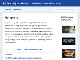 'hesapliyor.com' screenshot