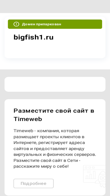 bigfish1.ru