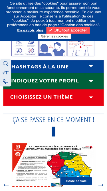 departement974.fr