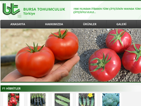 bursaseed.com