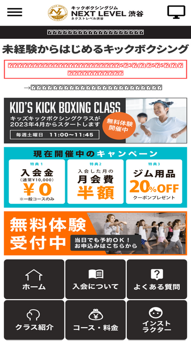 nextlevel-kick.co.jp