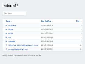 'zlpaste.net' screenshot
