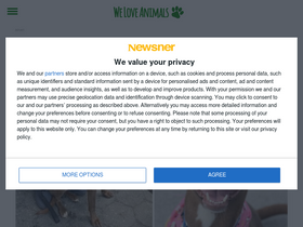 'theanimalclub.net' screenshot