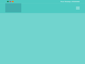 'tanweir.net' screenshot