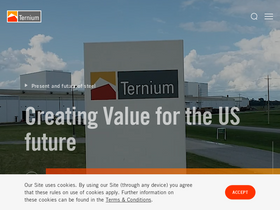 'ternium.com' screenshot