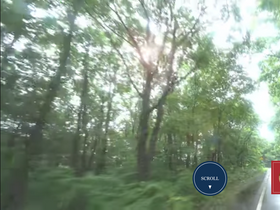 'zuiho.jp' screenshot