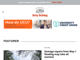'dailybulldog.com' screenshot