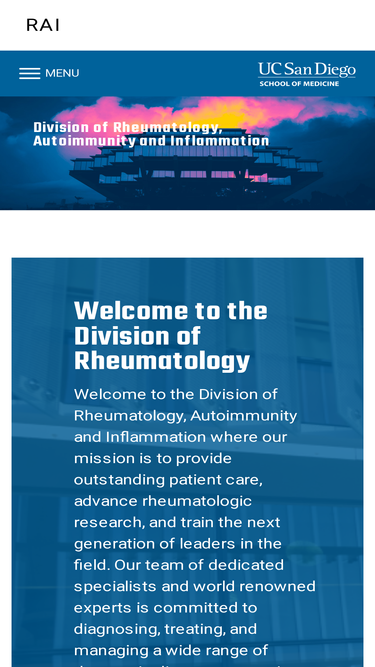 raidivision.ucsd.edu