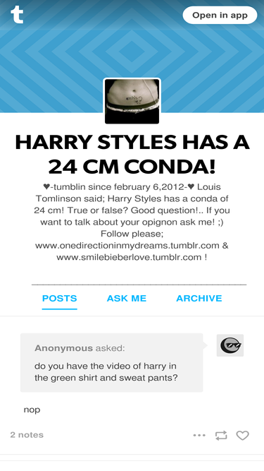 harrystylesconda24cm.tumblr.com