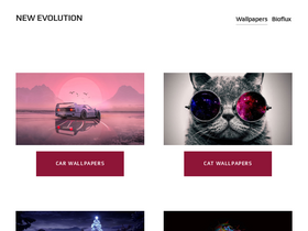 'newevolutiondesigns.com' screenshot
