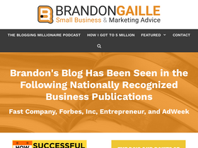 'brandongaille.com' screenshot