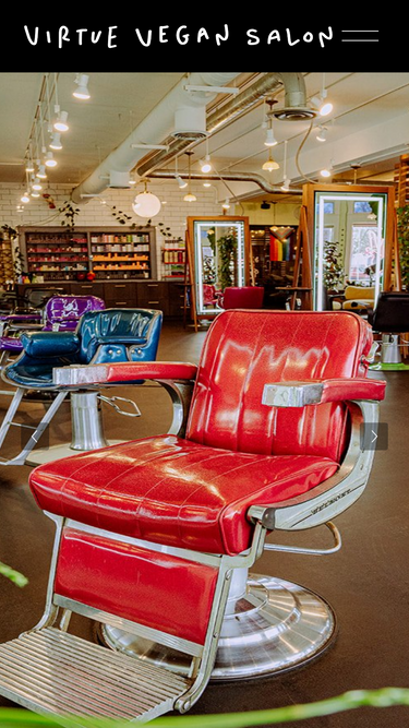 virtuevegansalon.com