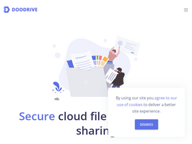 'doodrive.com' screenshot