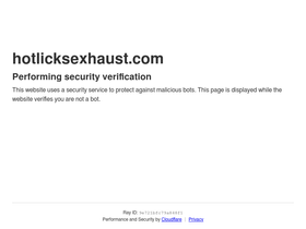 hotlicksexhaust.com
