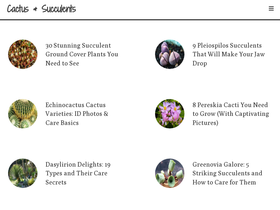 cactus-succulents.com