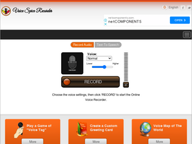 'voicespice.com' screenshot