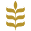 bac.org.ar