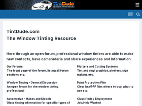 'tintdude.com' screenshot