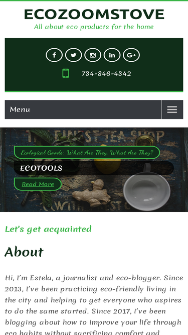 ecozoomstove.com