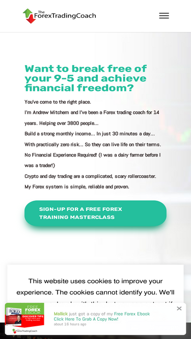 theforextradingcoach.com