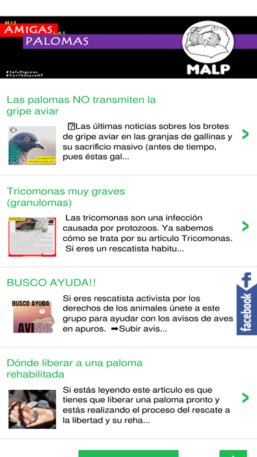 misamigaslaspalomas.com