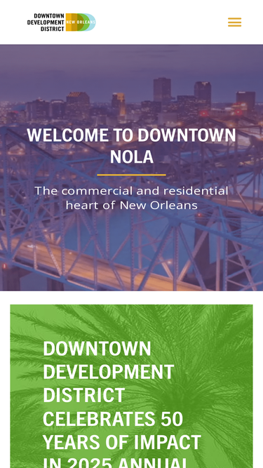 downtownnola.com