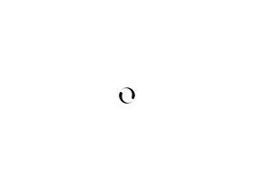 Large Screenshot