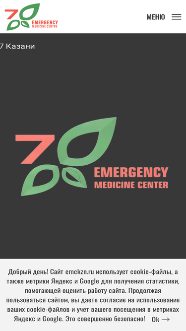 emckzn.ru