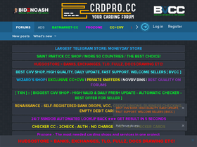 'crdpro.cc' screenshot