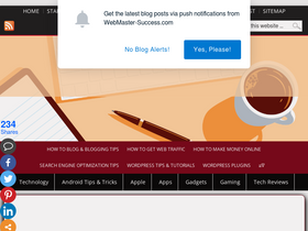 webmaster-success.com