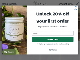 reyic.com homepage screenshot