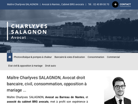 salagnon-avocat-nantes.fr