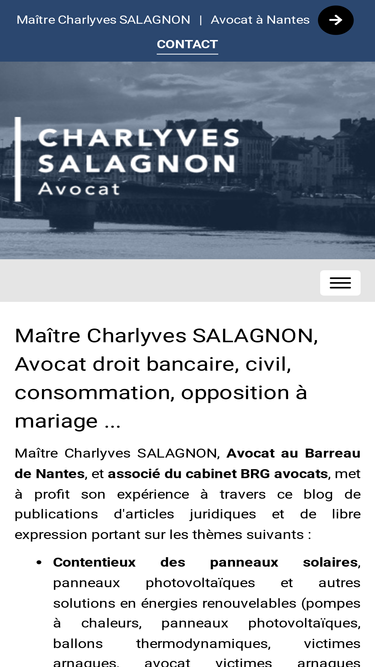 salagnon-avocat-nantes.fr