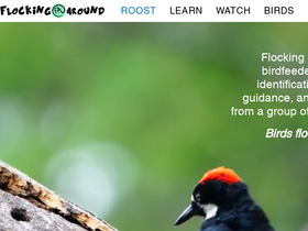 flockingaround.com