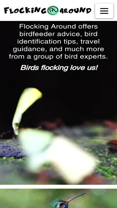 flockingaround.com