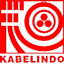 kabelindo.co.id
