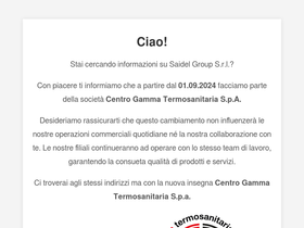saidelgroup.com