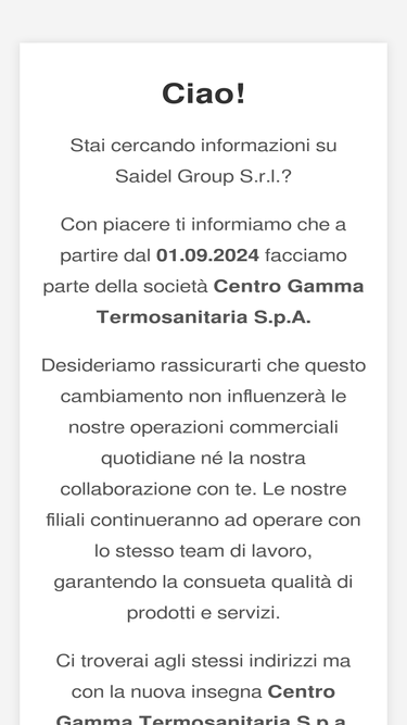 saidelgroup.com