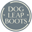 dogleapboot.com