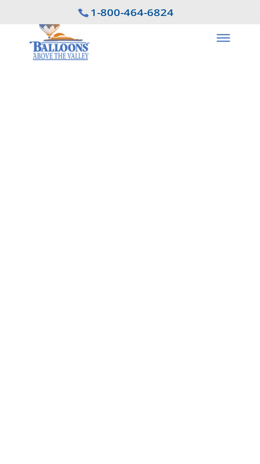 balloonrides.com