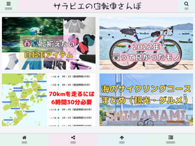 'sarapie.com' screenshot