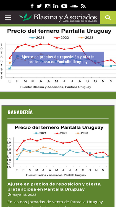 blasinayasociados.com