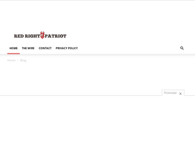'redrightpatriot.com' screenshot
