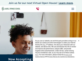 'laurelsprings.com' screenshot