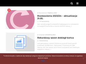 'rankinguefa.pl' screenshot