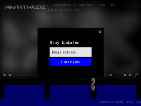 antithesis-store.com