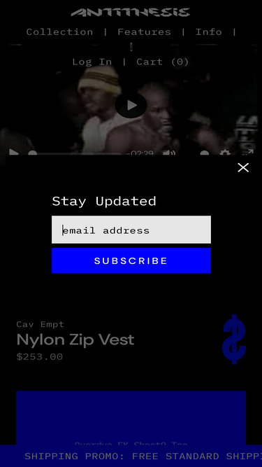 antithesis-store.com