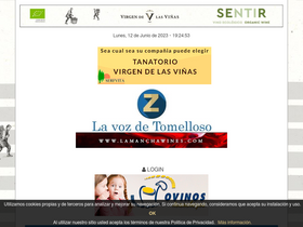 'lavozdetomelloso.com' screenshot