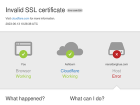 'naruldonghua.com' screenshot