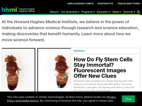 'hhmi.org' screenshot